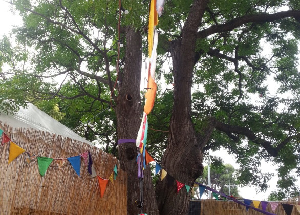 Free tickets for the last day of #hammocktime at Adelaide Fringe